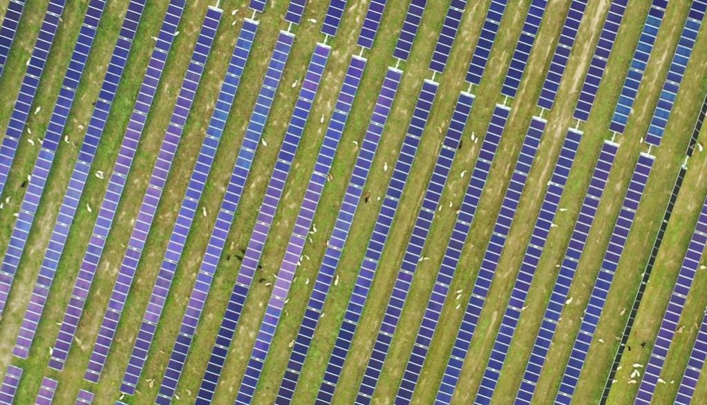 AIP invests $500 million in Silicon Ranch's clean energy initiative ...