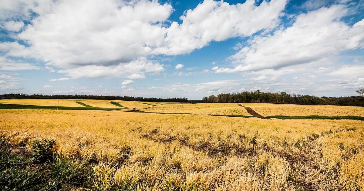 An Ohio solar project overcomes local opposition and misinformation.jpeg