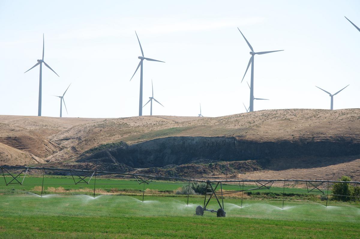Trump signs executive order targeting wind and solar energy subsidies.jpeg